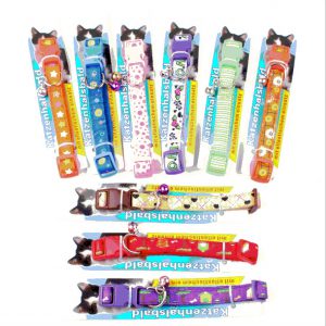 Petstar - Vòng cổ in hình 1cm